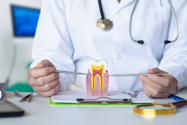 Best Emergency Root Canal Treatment in Weddington, NC
